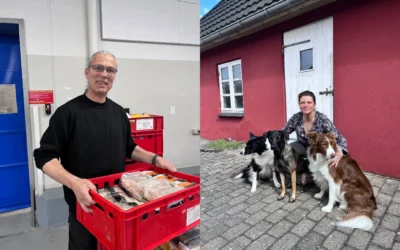 Online Danish lessons led to jobs and a new life in Denmark