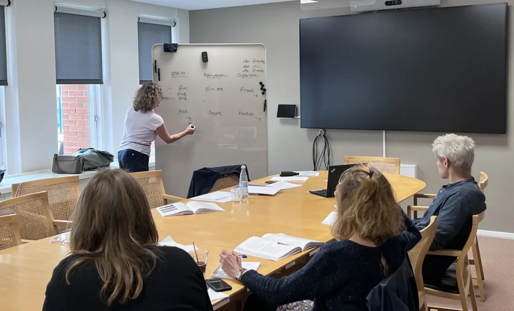 DMI undervisning Anna kursist