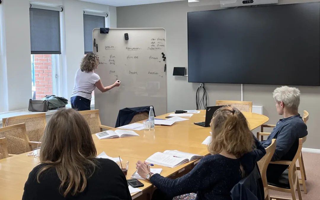Danish Lessons at work boost integration and staff retention at the Danish Meteorological Institute