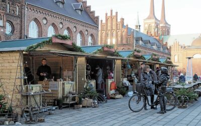 Trip to Roskilde with Christmas Market, Cathedral, and Viking Ships